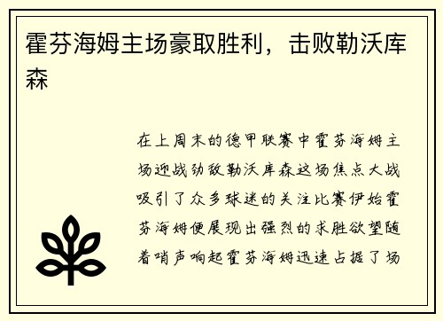 霍芬海姆主场豪取胜利，击败勒沃库森
