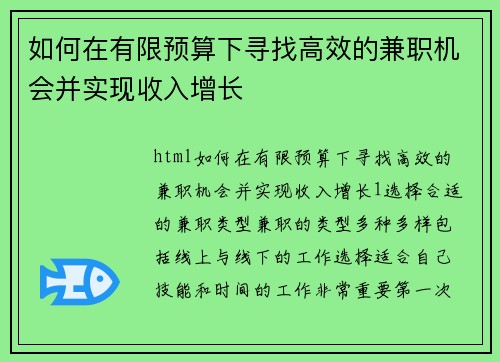 如何在有限预算下寻找高效的兼职机会并实现收入增长