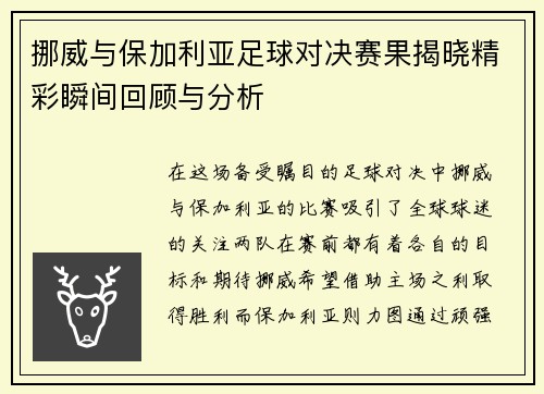 挪威与保加利亚足球对决赛果揭晓精彩瞬间回顾与分析