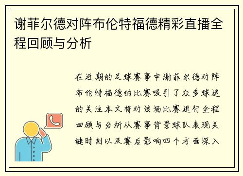 谢菲尔德对阵布伦特福德精彩直播全程回顾与分析