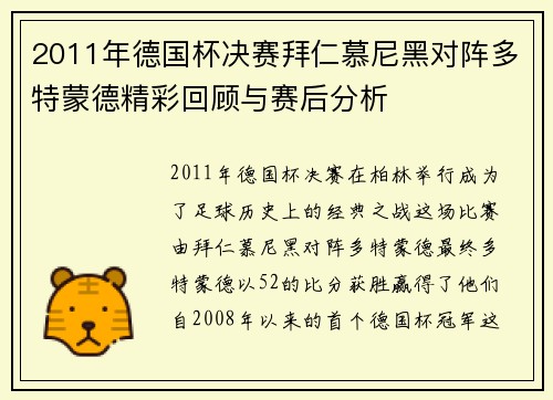 2011年德国杯决赛拜仁慕尼黑对阵多特蒙德精彩回顾与赛后分析