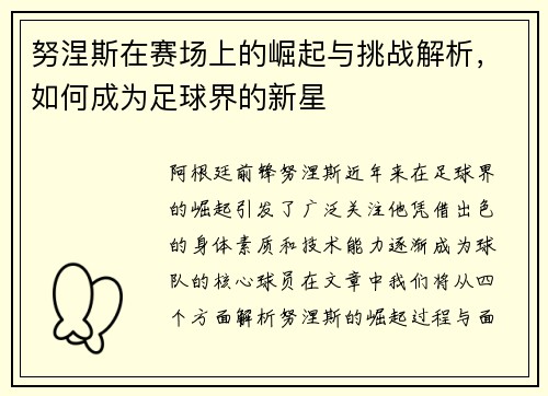 努涅斯在赛场上的崛起与挑战解析，如何成为足球界的新星